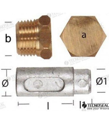 ANODE LOMBARDINI W/TAP