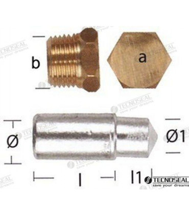 ANODE LOMBARDINI W/TAP