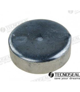 DISC IN ZINC DIA 70 mm