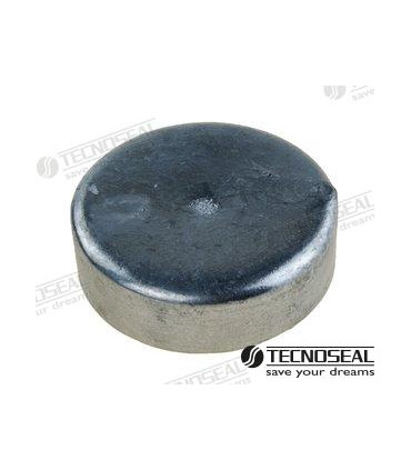 DISC IN ZINC DIA 70 mm