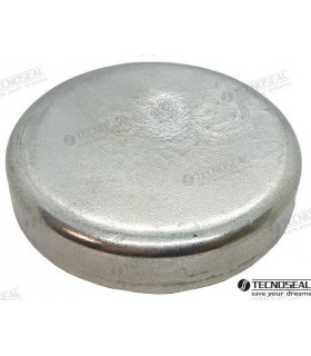 DISC IN ZINC DIA 100 H 20