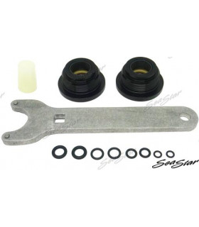 SEAL KIT REPAIR SEASTAR CYLINDER