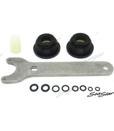 SEAL KIT REPAIR SEASTAR CYLINDER
