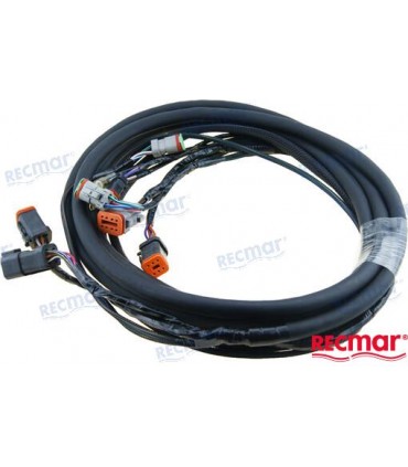ELECTRICAL HARNESS 10'