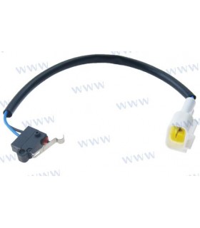 MICROSWITCH