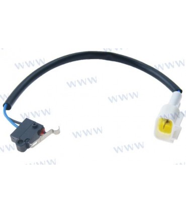 MICROSWITCH