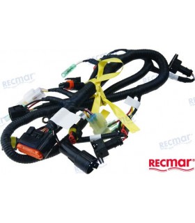 ECU  CABLE ASSY, MANUAL START