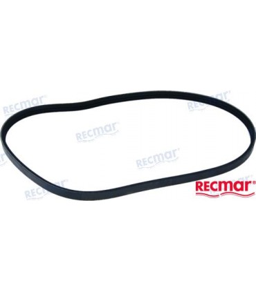 SERPENTINE BELT