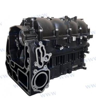CRANKCASE ASSY