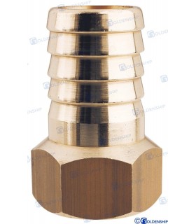 HOSE TAIL 1/2'' x 20 F. BRASS CR