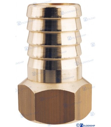 HOSE TAIL 1/2'' x 20 F. BRASS CR