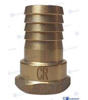 HOSE TAIL 3/4'' x 25 F. BRASS CR