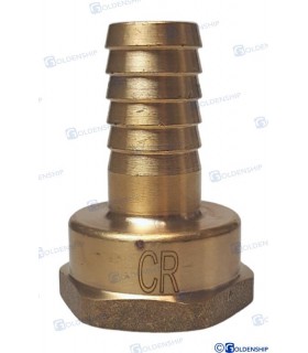 HOSE TAIL 1'' x 20 F. BRASS CR