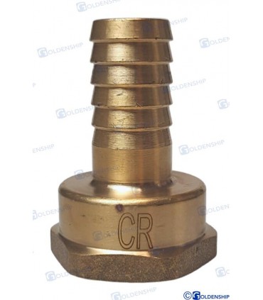 HOSE TAIL 1'' x 20 F. BRASS CR