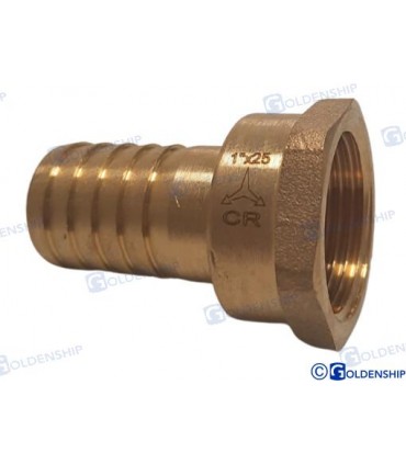 HOSE TAIL 1'' x 25 F. BRASS CR