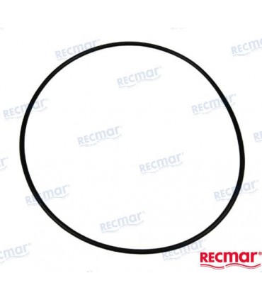 ROTOR-BEARING HOLDER O-RING