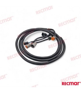 EXTENSION ARNES 10FT (3M)