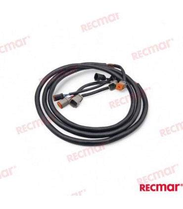 EXTENSION ARNES 10FT (3M)