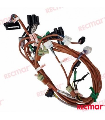 HARNESS ASSY BCM NO.1 MULT