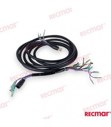 EXTENSION 10PINS WIRE HARNESS (6M)