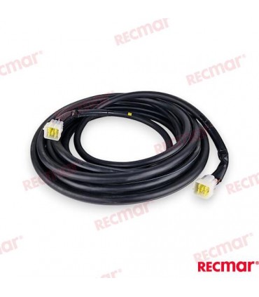 EXTENSION FOR DIGITAL ELECTRONIC CONTROL