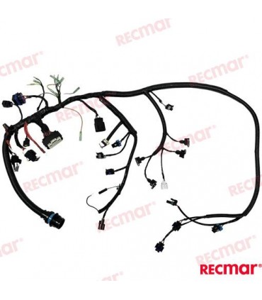 ENGINES MAIN HARNESS 40/50/60HP