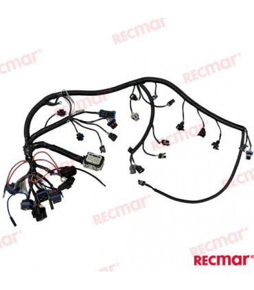 ENGINES MAIN HARNESS 70/90/115HP