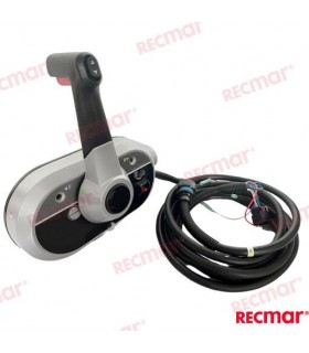 HANDLE ASSEMBLY WITH TRIM