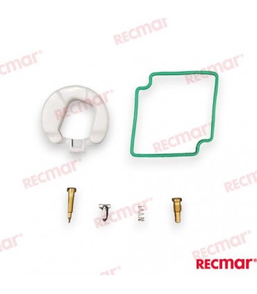 CARBURETAOR KIT