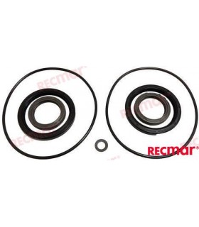 REC23018 - SEAL KIT LOWER UNIT DPH, DPH-