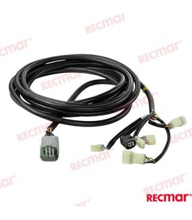 MAIN WIRING HARNESS (20FT)