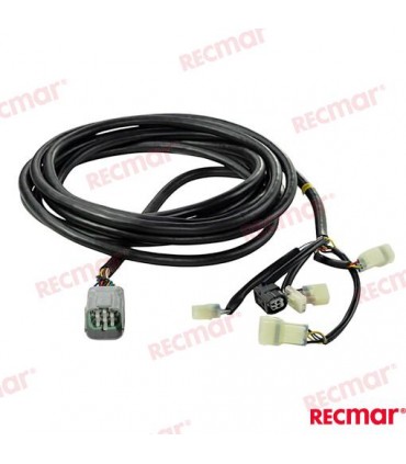 MAIN WIRING HARNESS (20FT)