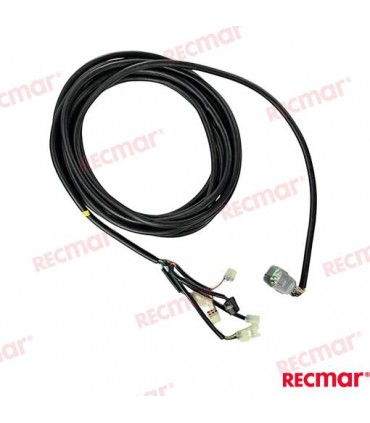 MAIN WIRING HARNESS (30FT)