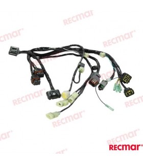 HARNESS ASSY BCM NO.1 SNGL