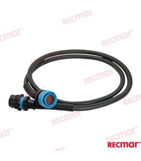 DTS DATA EXTENSION 14PIN 6FT