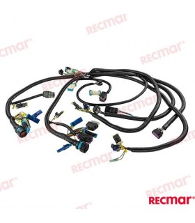 ENGINES HARNESS ASSEMBLY, DUAL COMMAND M