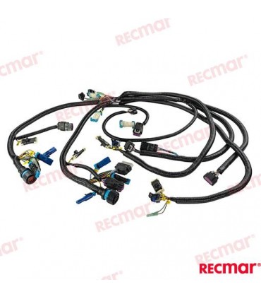 ENGINES HARNESS ASSEMBLY, DUAL COMMAND M