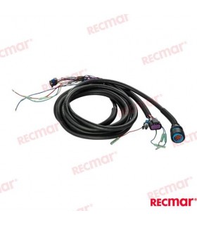 TIRM HARNESS 15FT (MOLEX)