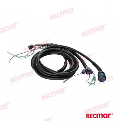 TIRM HARNESS 15FT (MOLEX)
