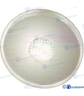 LED ROUND EXTERIOR LIGHT SS WHITE
