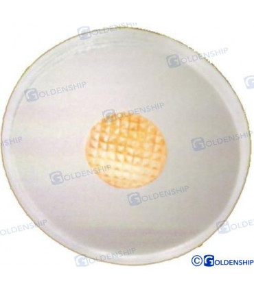 LED ROUND EXTERIOR LIGHT SS TANGERINE