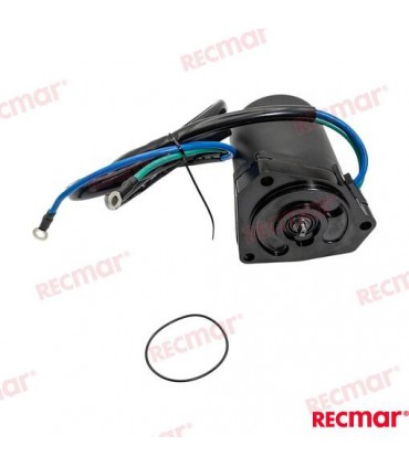 TRIM MOTOR