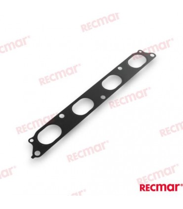 INTAKE GASKET