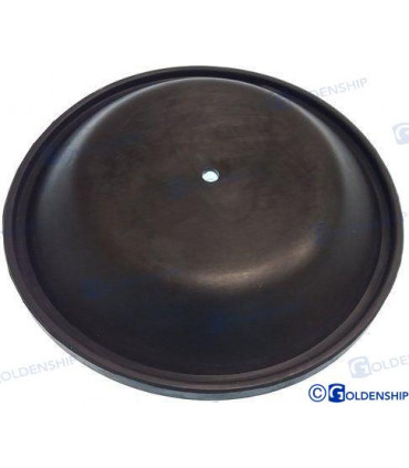 DIAPHRAGM FOR GS20030