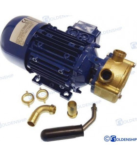 ELECTRIC PUMP 12V  25L/MIN