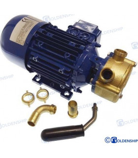ELECTRIC PUMP 24V  53L/MIN