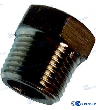 HEX HEAD PLUG  AISI 316   2"
