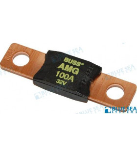 FUSE MEGA 100 AMP/32 VOLT