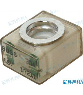 BATTERY SWITCH FUSE 30A