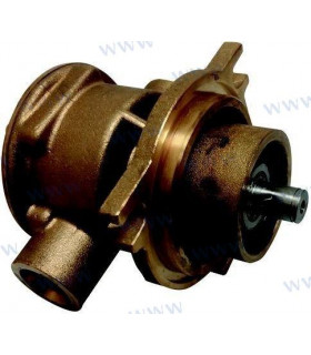 RAW WATER PUMP